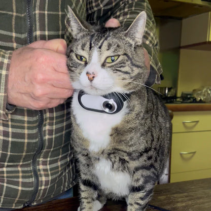 CatOptix ™ - Cat POV Camera