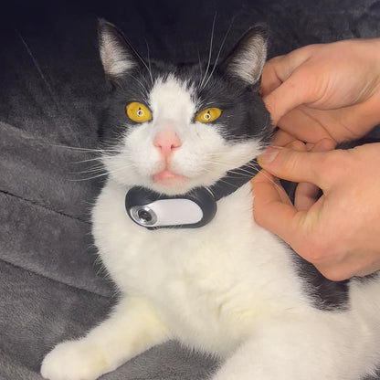 CatOptix ™ - Cat POV Camera