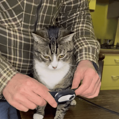 CatOptix ™ - Cat POV Camera