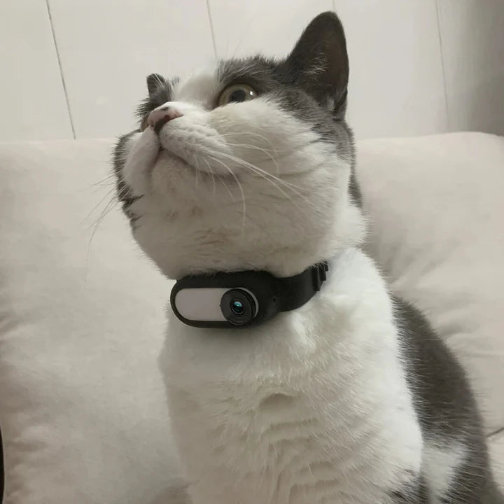 CatOptix ™ - Cat POV Camera