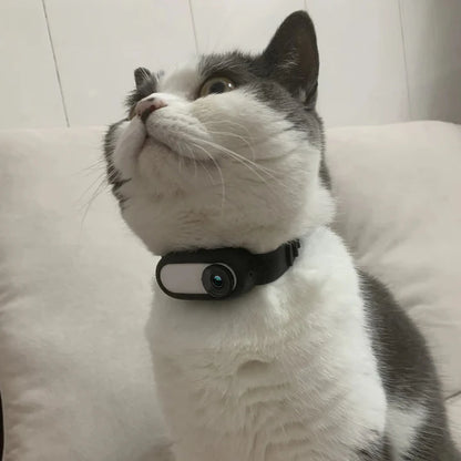 CatOptix ™ - Cat POV Camera