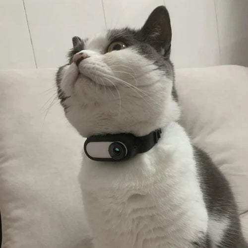 CatOptix ™ - Cat POV Camera