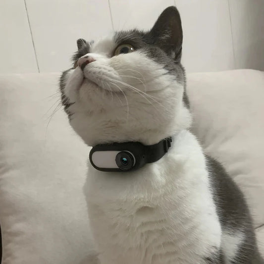 CatOptix ™ - Cat POV Camera