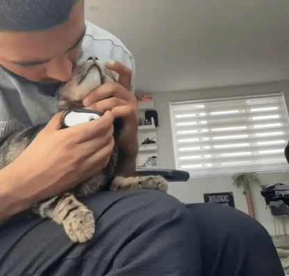 CatOptix ™ - Cat POV Camera